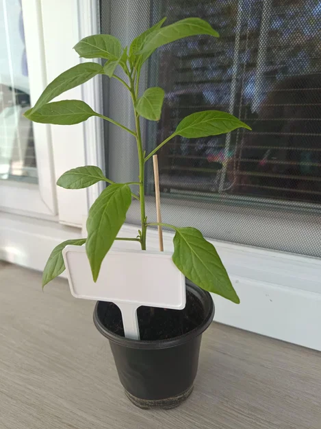 Biển cắm chậu cây (Plant sign) - Phụ kiện làm vườn in 3D đơn giản - Image 1