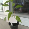 Biển cắm chậu cây (Plant sign) - Phụ kiện làm vườn in 3D đơn giản - Thumbnail 1