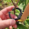 SUPP-ORTO - Kẹp hỗ trợ thân cây rau - Thumbnail 4