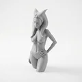 Mô hình tượng bán thân Ahsoka Tano - Star Wars 3D Printable - Thumbnail 1