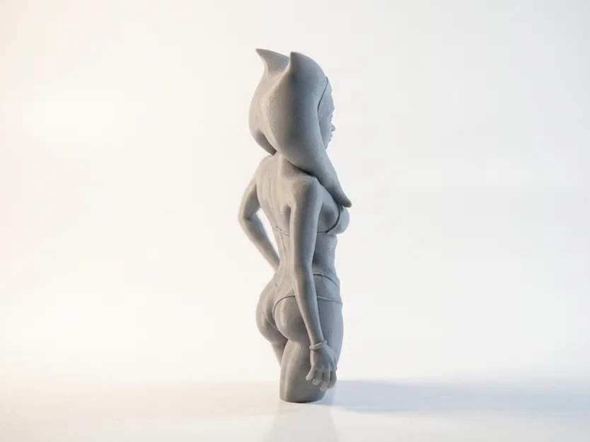 Mô hình tượng bán thân Ahsoka Tano - Star Wars 3D Printable - Image 3