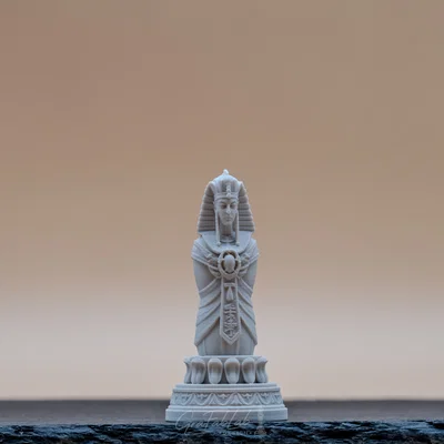 Eternal Dynasty "Pawn" - Quân cờ tốt