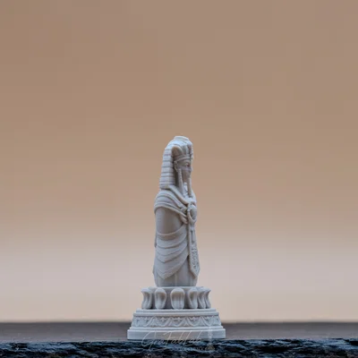 Eternal Dynasty "Pawn" - Quân cờ tốt