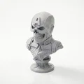 Mô hình in 3D tượng bán thân đầu lâu Captain America - Thumbnail 1