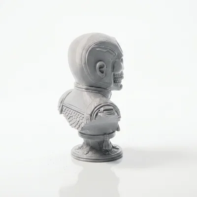 Mô hình in 3D tượng bán thân đầu lâu Captain America
