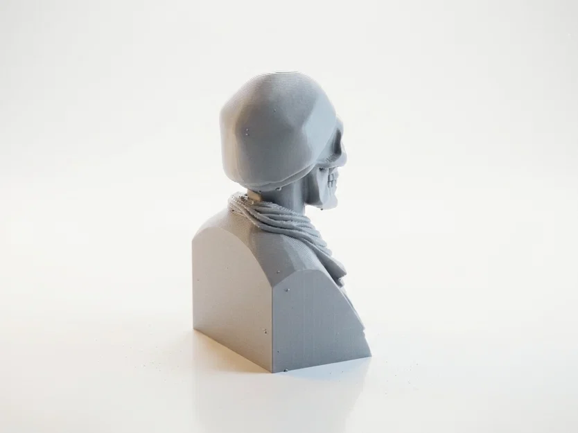 Tượng Bán Thân Bộ Xương Độc Đáo - Mẫu In 3D Nghệ Thuật - Image 3