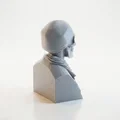 Tượng Bán Thân Bộ Xương Độc Đáo - Mẫu In 3D Nghệ Thuật - Thumbnail 3