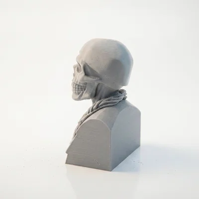 Tượng Bán Thân Bộ Xương Độc Đáo - Mẫu In 3D Nghệ Thuật