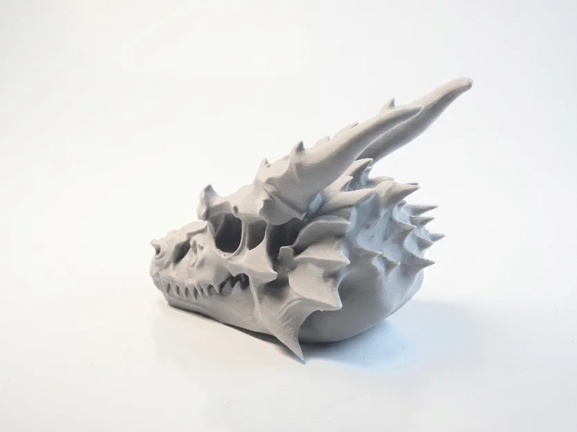 Mô hình 3D Hộp sọ Rồng Charizard cực chi tiết - Image 1