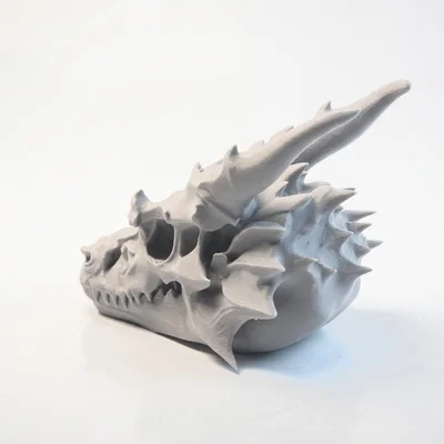 Mô hình 3D Hộp sọ Rồng Charizard cực chi tiết