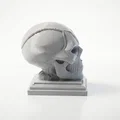 Mô hình đầu lâu Deadpool 3D Printable - Thumbnail 3