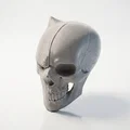 Mô hình 3D Bán diện sọ người - Decor phong cách Gothic - Thumbnail 1