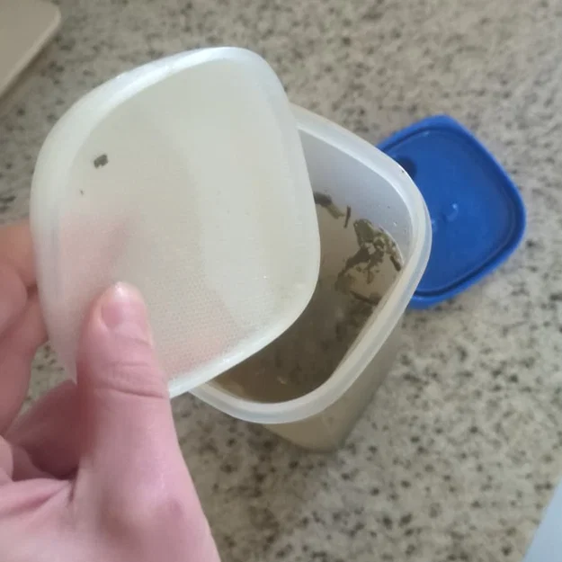 Lõi lọc (Strainer) cho bình Tupperware 2L Slim Line - Image 2