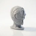 Mô hình đầu lâu nứt 3D (Half Skull Face Figurine Sculpture) - Thumbnail 2
