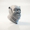 Mô hình in 3D điêu khắc Shrek nửa mặt đầu lâu - Thumbnail 2
