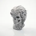 Mô hình 3D tượng bán thân Tyrion Lannister nửa đầu lâu (Game of Thrones) - Thumbnail 1