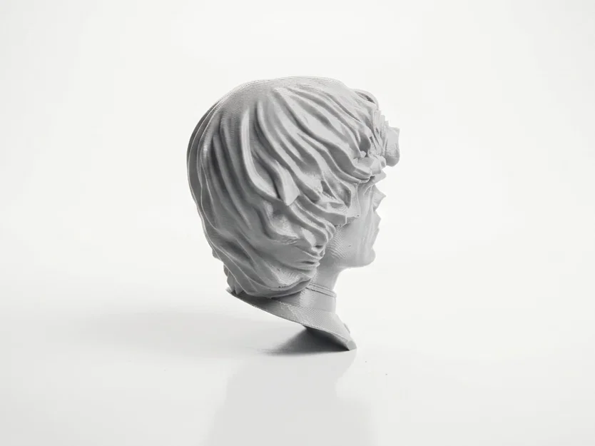 Mô hình 3D tượng bán thân Tyrion Lannister nửa đầu lâu (Game of Thrones) - Image 3