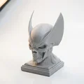 Tượng Bán Thân Wolverine Nửa Đầu Lâu - Mô Hình In 3D Độc Đáo - Thumbnail 1