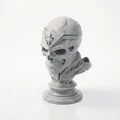 Tượng Bán Thân Đầu Lâu Wonder Woman - Mẫu In 3D Sắc Nét - Thumbnail 1