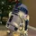 mockab_1387116