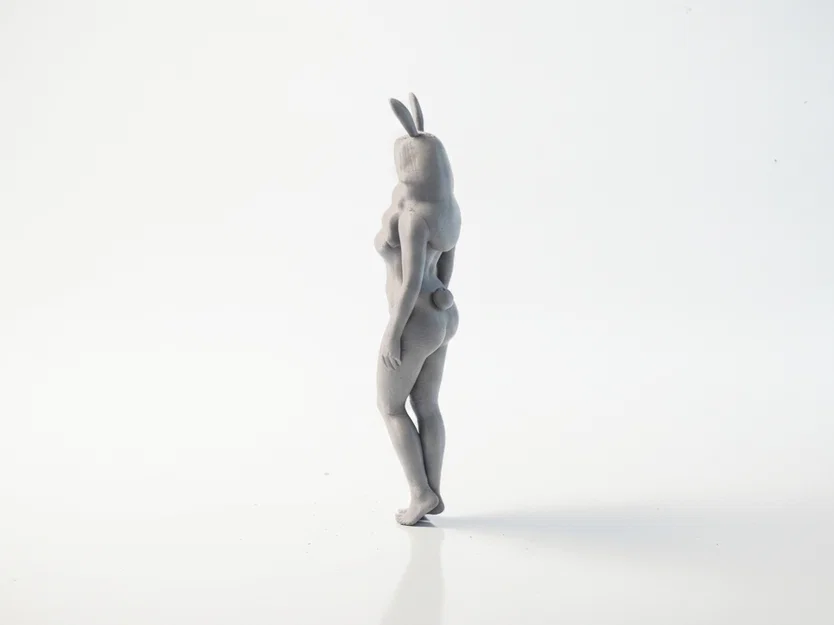 Mô hình tượng cô gái Bunny Outfit - File in 3D nghệ thuật - Image 4