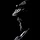 GraydonJolli_3742604