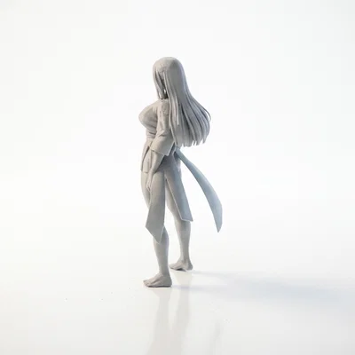 Mô hình nữ võ sĩ in 3D (Martial Arts Female Figurine)
