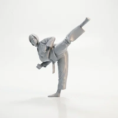 Mô hình võ sĩ võ thuật tư thế hành động - File in 3D