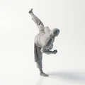 Mô hình võ sĩ võ thuật tư thế hành động - File in 3D - Thumbnail 3