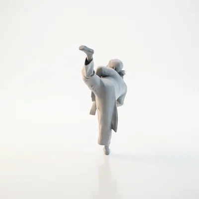 Mô hình võ sĩ võ thuật tư thế hành động - File in 3D