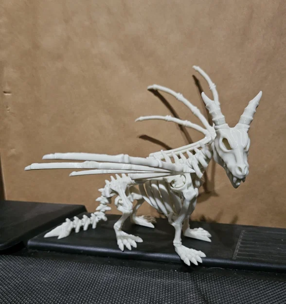 Bộ xương rồng khớp nối (Articulated Dragon skeleton) - Image 1