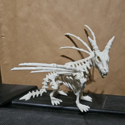 Bộ xương rồng khớp nối (Articulated Dragon skeleton)