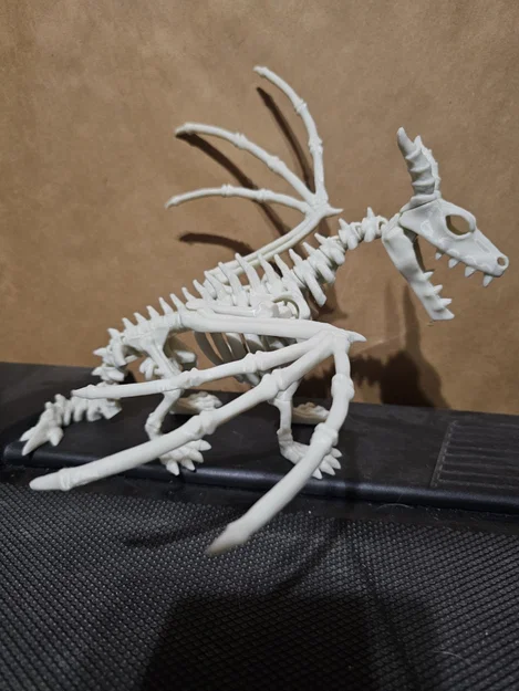 Bộ xương rồng khớp nối (Articulated Dragon skeleton) - Image 2