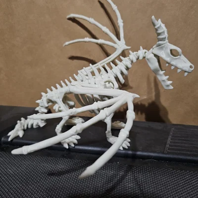 Bộ xương rồng khớp nối (Articulated Dragon skeleton)