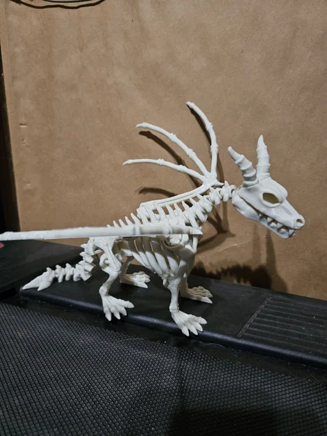 Bộ xương rồng khớp nối (Articulated Dragon skeleton) - Image 3