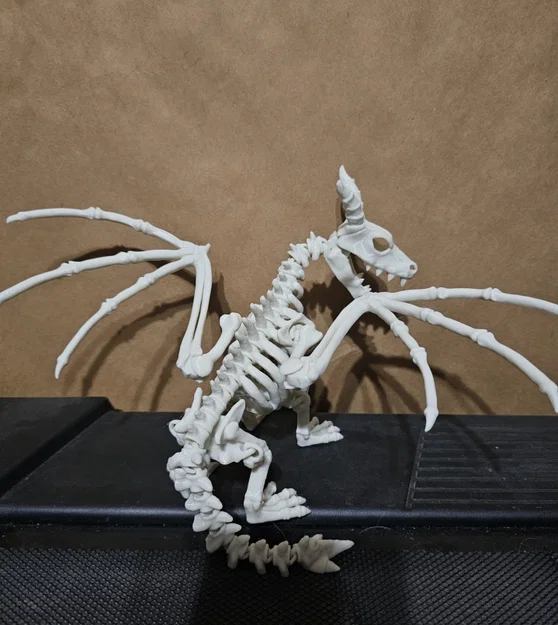 Bộ xương rồng khớp nối (Articulated Dragon skeleton) - Image 4