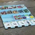 Wingspan Organizer V2 - Hỗ trợ các bản mở rộng hiện tại và tương lai - Thumbnail 11