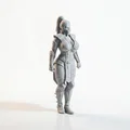 Mô hình 3D Nữ Chiến Binh Subzero - Tượng in 3D tinh xảo - Thumbnail 2