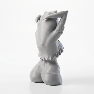 Mô hình 3D Tượng bán thân cô nàng mèo (Cat Girl Bust)