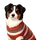Redslushman