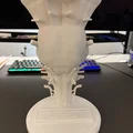 Mô hình Thân não và các dây thần kinh sọ II - XII - Thumbnail 2