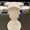 Mô hình Thân não và các dây thần kinh sọ II - XII - Thumbnail 3