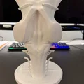 Mô hình Thân não và các dây thần kinh sọ II - XII - Thumbnail 5