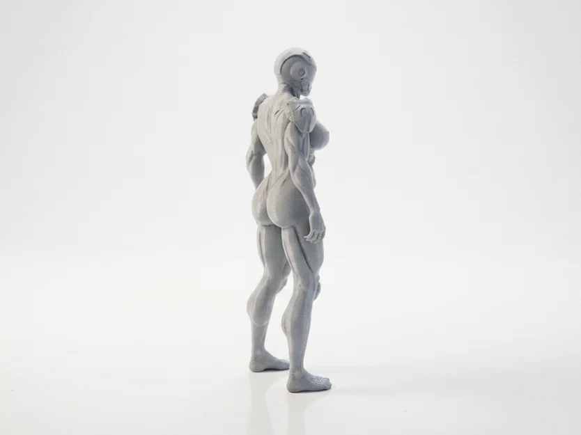 Mô hình Cyborg Lady - Tượng nữ chiến binh Sci-Fi in 3D - Image 3