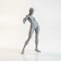Mô hình 3D vũ công nữ thanh thoát có thể in được - Thumbnail 2