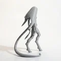 Mô hình Nữ hoàng Quỷ - Tượng nhân vật Fantasy 3D Printable - Thumbnail 3