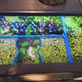 #0210 Vòng nổi hình chữ nhật (kèm ô cho cá ăn) - Thumbnail 2