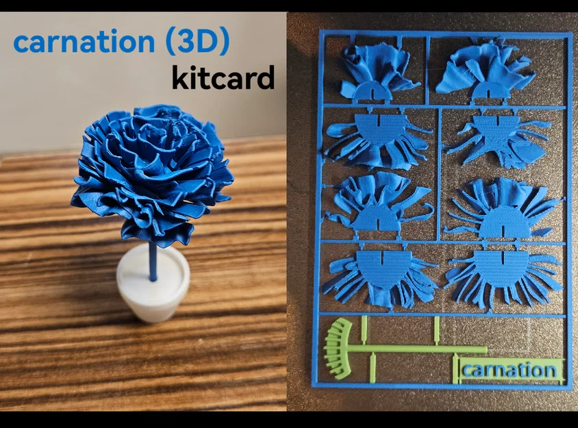 Mô hình 3D Flower kitcard - Hoa cẩm chướng / Nelke - Image 1