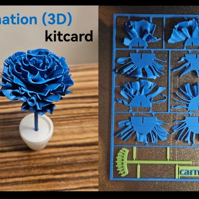 Mô hình 3D Flower kitcard - Hoa cẩm chướng / Nelke