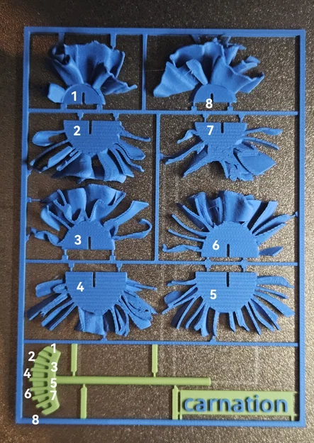 Mô hình 3D Flower kitcard - Hoa cẩm chướng / Nelke - Image 2